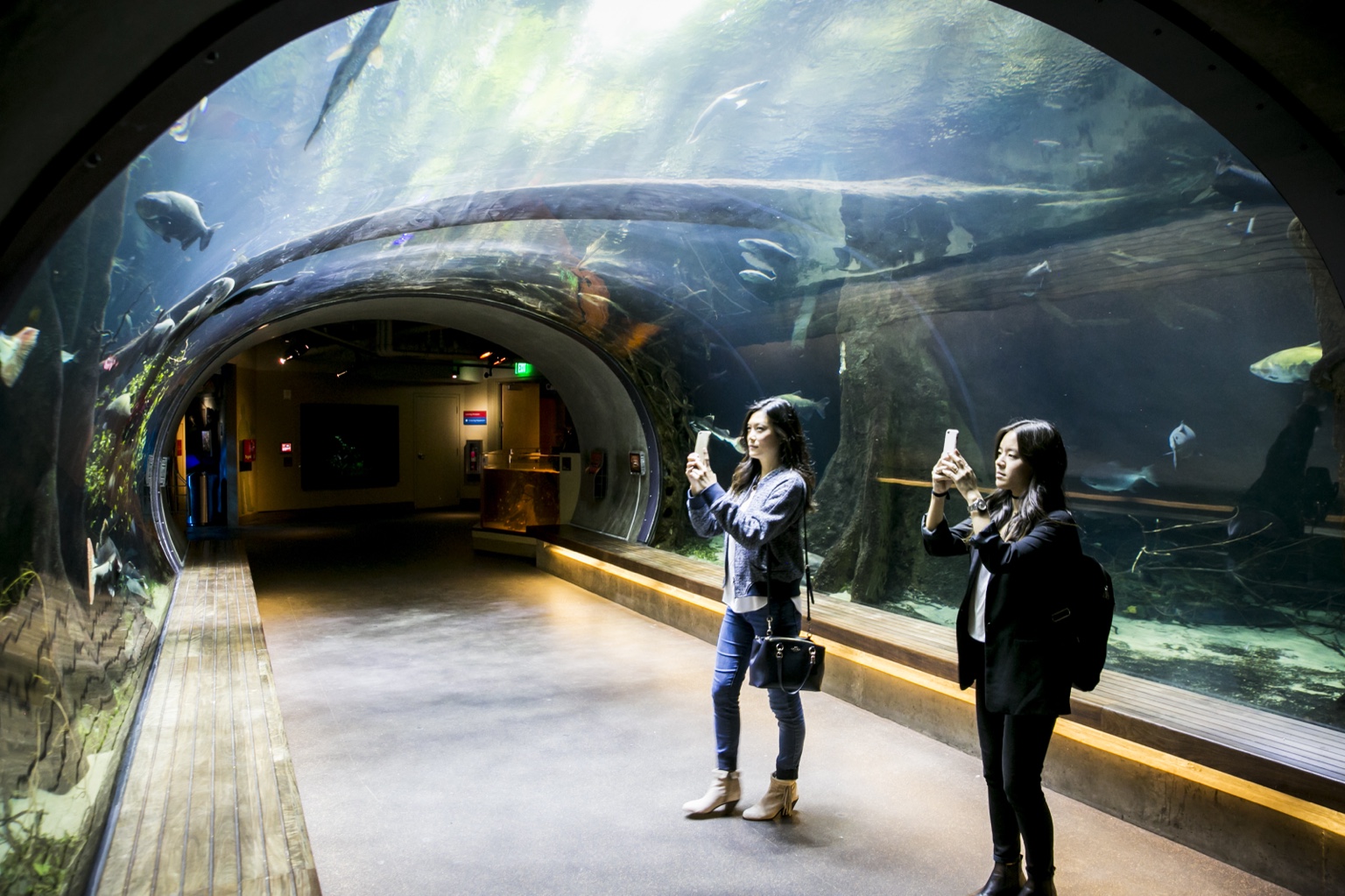 Guests in the aquarium at the Honor 8 US launch.